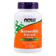 Boswellia Extract 500mg (90Sgels) Now Foods