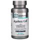 Geroprotect Ageless Cell (30 SGels) Life Extension 1