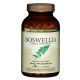 Herbal Plus Boswellia Extrac 450mg (100Caps) GNC Articulação